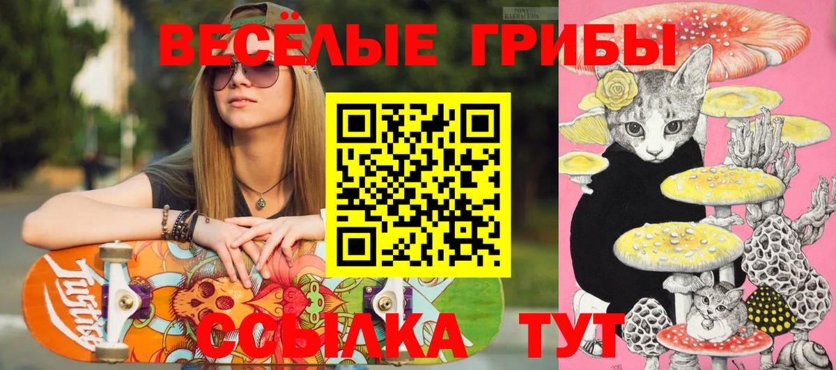 Шарыпово  Галлюциногенные грибы Magic Shrooms  наркошоп  Вход с VPN 