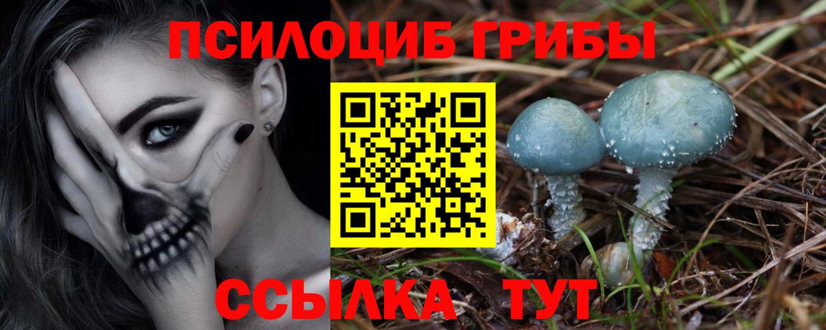 Канабис Шарыпово